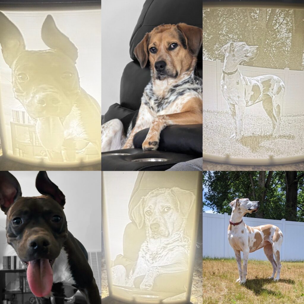 F699FEA7-A86D-4C1F-87C7-08B41D5FA0F1